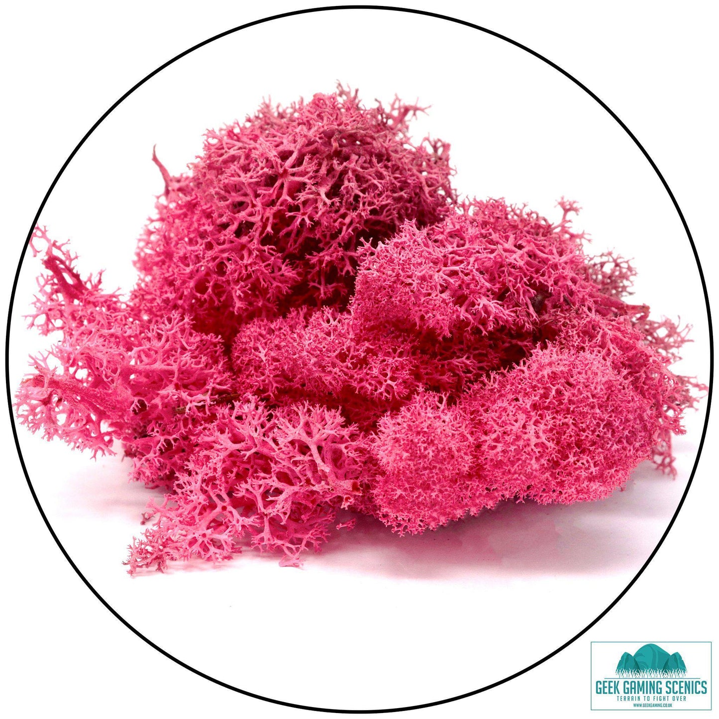 Lichen - Reindeer Moss (Icelandic Moss) Fuchsia - Geek Gaming Scenics