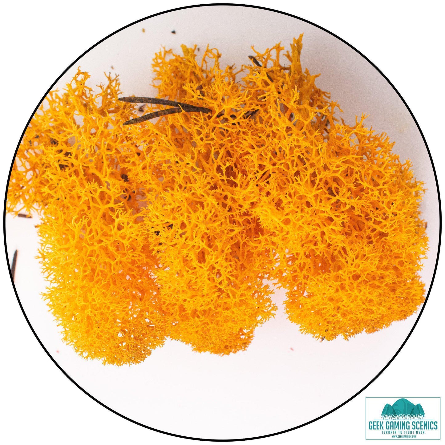 Lichen - Reindeer Moss (Icelandic Moss) Orange - Geek Gaming Scenics