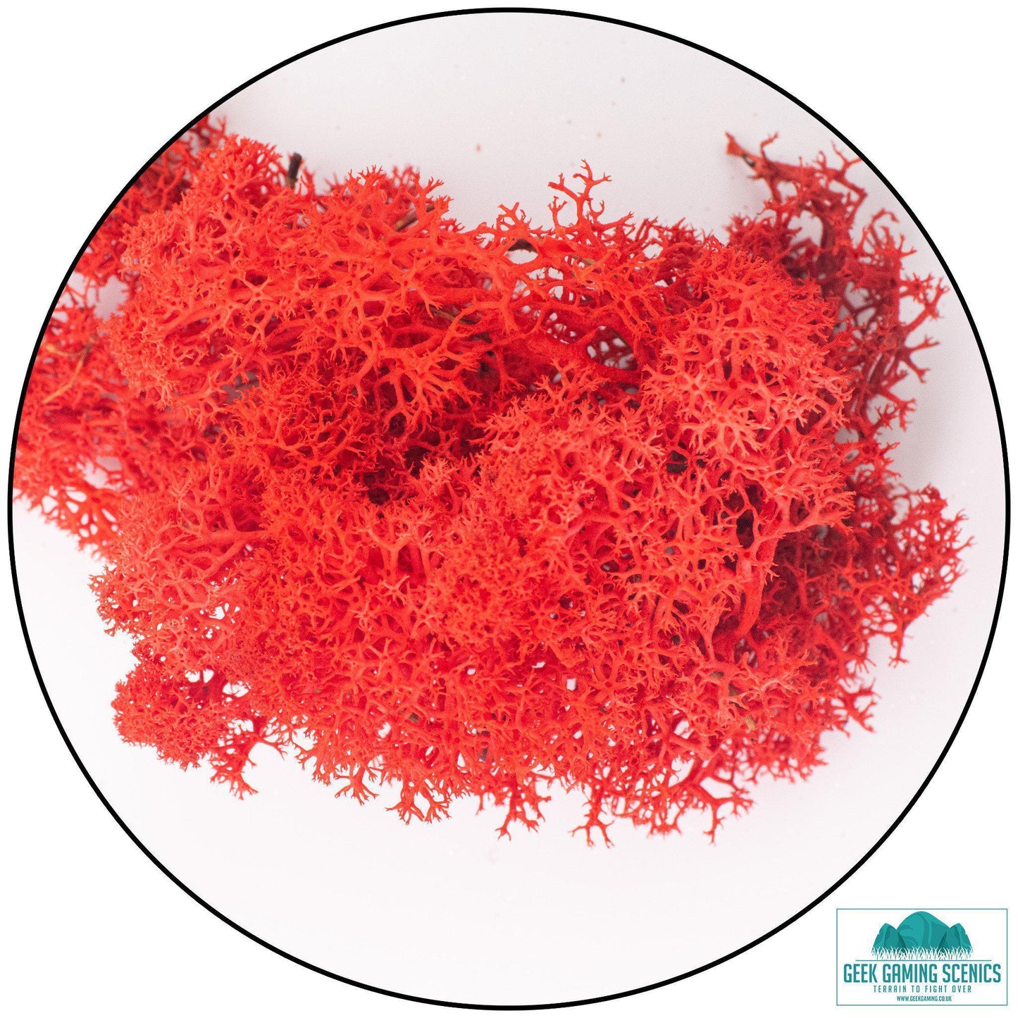 Lichen - Reindeer Moss (Icelandic Moss) Red - Geek Gaming Scenics